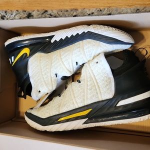 Mens LeBron sneakers